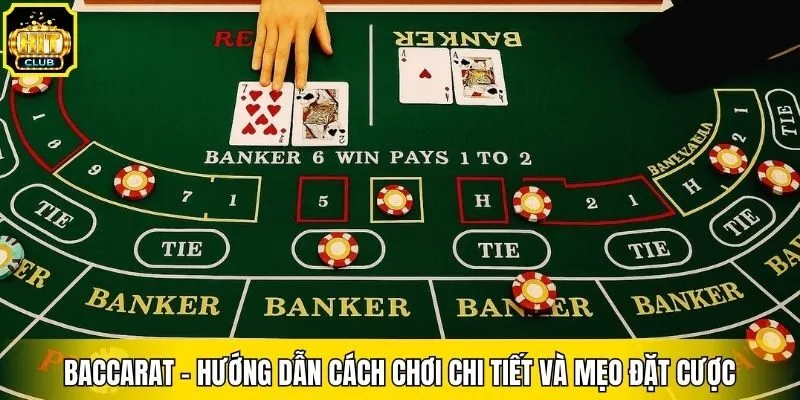 Baccarat - Hướng Dẫn Cách Chơi Chi Tiết Và Mẹo Đặt Cược