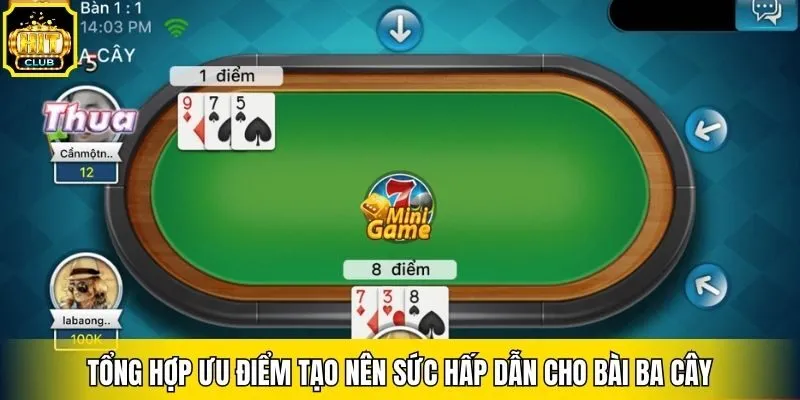 Tổng hợp ưu điểm tạo nên sức hấp dẫn cho bài ba cây